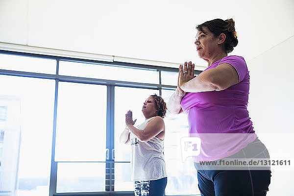 Low angle view of friends with hands clasped exercising in yoga studio
