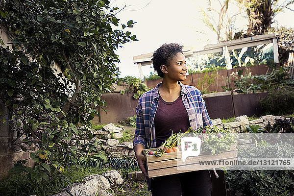 Thoughtful woman carrying crate full of freshly harvested vegetables at organic farm