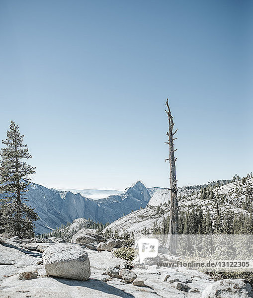 Blick auf Wald und Berge bei klarem Himmel im Yosemite-Nationalpark