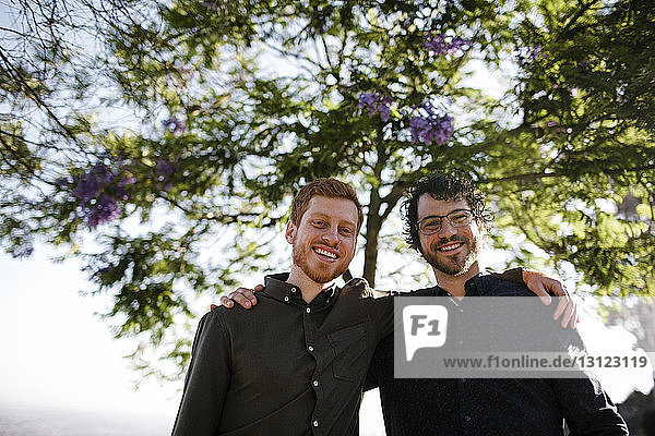 Niedrigwinkel-Porträt glücklicher  gutaussehender Brüder mit umarmten Armen an Bäumen im Park stehend