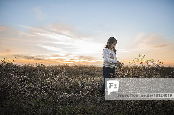 Girl looking at plants while standing on field against sky during sunset