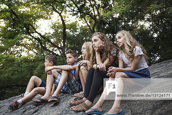 Low angle view of siblings sitting on rock against trees at park