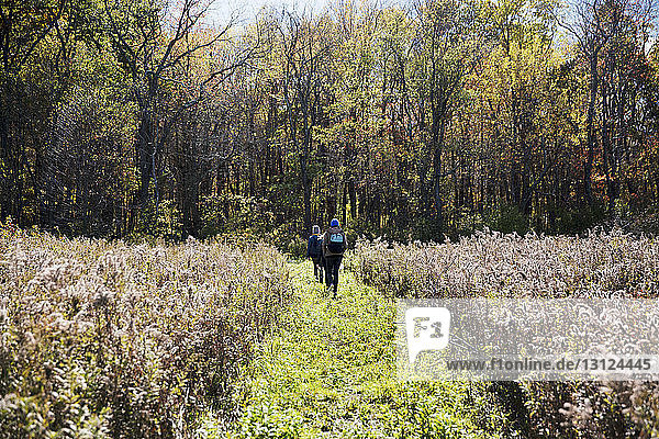 Rear view of hikers walking on field during autumn