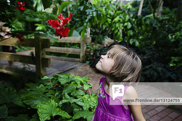 Mädchen macht ein Gesicht  während sie im Garten Hibiskus anschaut