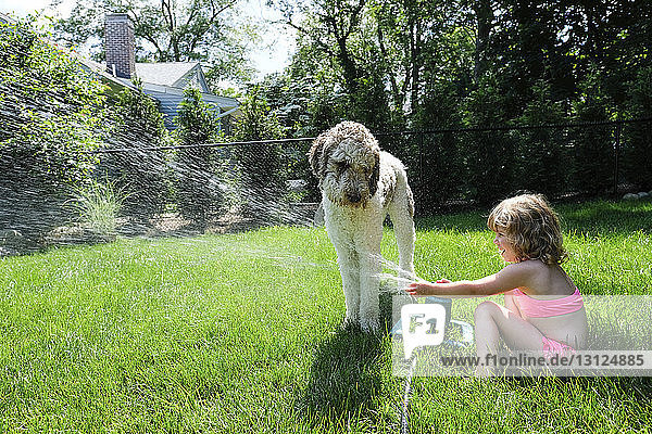 Seitenansicht eines verspielten Mädchens  das mit einem Sprinkler im Hof Wasser auf den Hund spritzt