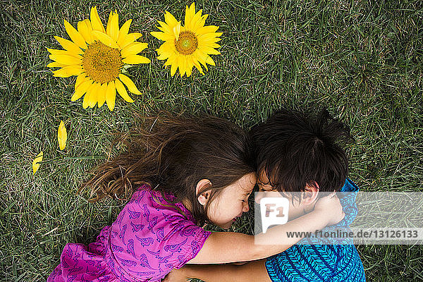 Hochwinkelansicht von Geschwistern  die sich umarmen  während sie auf einem Grasfeld liegen