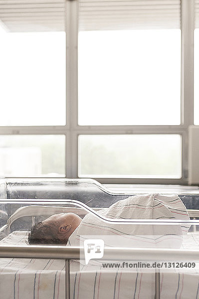 Newborn baby girl sleeping in hospital crib against window