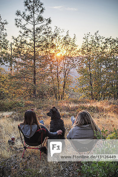Rear view of female friends with dog sitting on field in forest during sunset