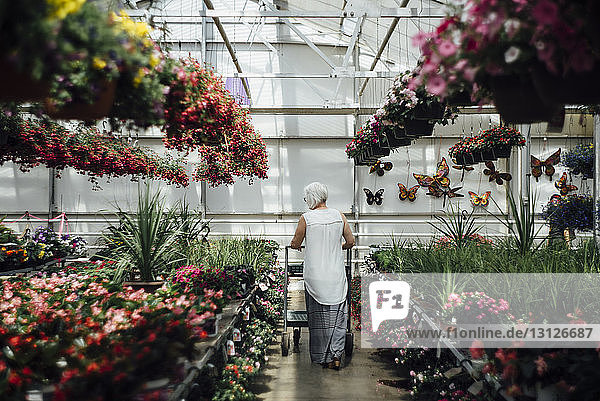 Rear view of mature woman walking at greenhouse