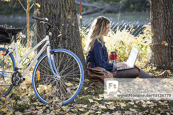 Frau benutzt Laptop-Computer  während sie im Park an einem Baum sitzt