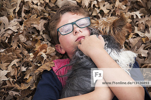 Hochwinkelaufnahme eines Jungen  der einen Hund umarmt  während er im Park auf dem Herbstlaub liegt