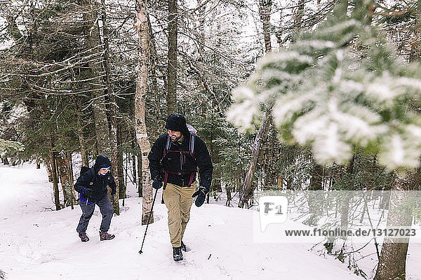 Full length of friends with hiking poles exploring forest during winter