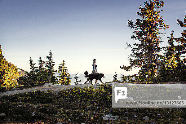 Seitenansicht einer Frau  die mit Hund auf einem Berg spazieren geht