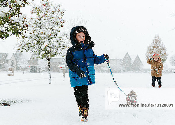 Junge mit Shih Tzu geht auf schneebedecktem Feld  während sein Bruder im Hintergrund steht
