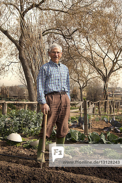 Porträt eines älteren Landwirts  der ein Arbeitsgerät hält  während er auf dem Feld steht