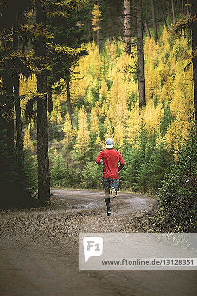Rear view of man jogging on road amidst trees during autumn
