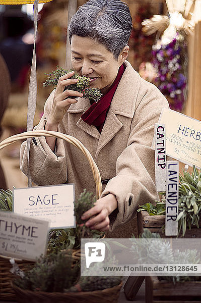 Happy mature woman smelling thyme at farmer's market stall