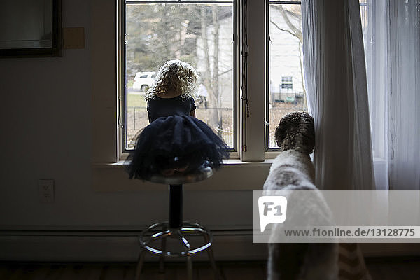 Rear view of girl with dog looking through window while sitting on stool at home