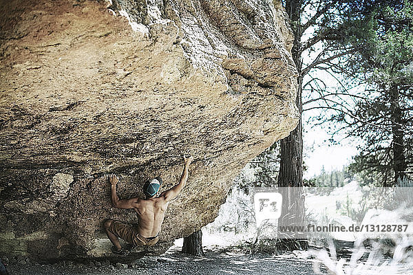 Shirtless man climbing huge rock in forest