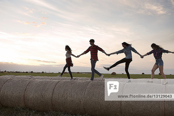Friends holding hands while walking on hay bales during sunset