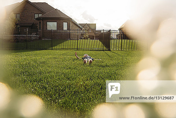 Junge entspannt sich auf Grasfeld im Hinterhof