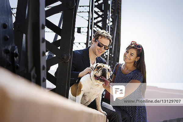 Glückliches Paar spielt mit Bulldogge auf Stützmauer