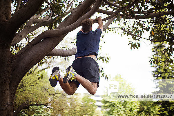 Rückansicht eines Mannes  der im Hof an einem Baum hängt