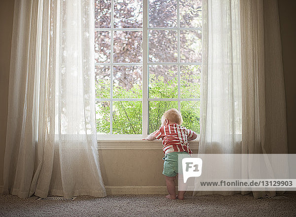 Rückansicht eines kleinen Jungen  der zu Hause durch ein Fenster schaut