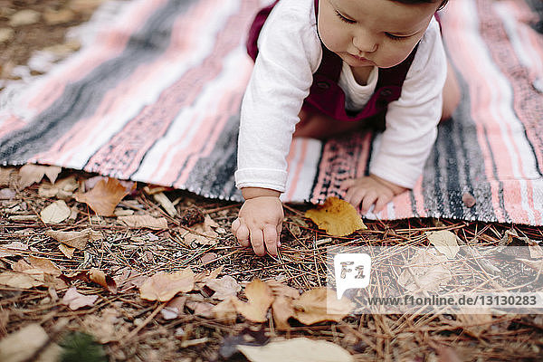 Kleines Mädchen pflückt trockene Blätter  während es auf einer Decke im Wald sitzt