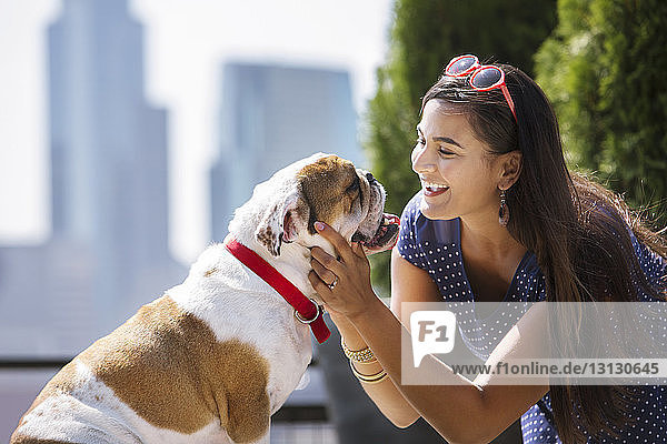 Lächelnde Frau spielt mit Bulldogge an sonnigem Tag