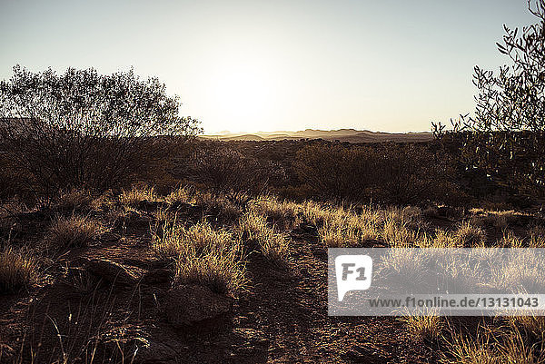 Landschaftliche Ansicht der Wüste gegen klaren Himmel bei Sonnenuntergang