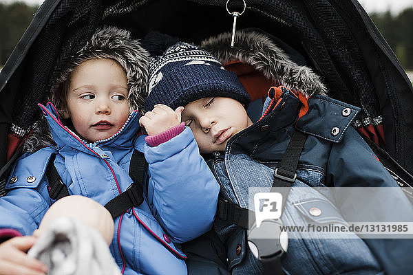 Close-up of siblings in baby stroller
