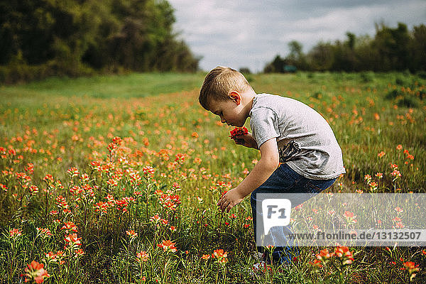 Side view of boy plucking flowers while standing on field