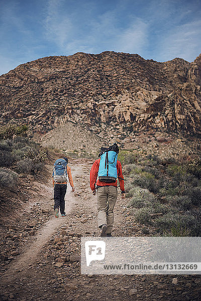 Rückansicht von Freunden beim Wandern im Red Rock Canyon National Conservation Area