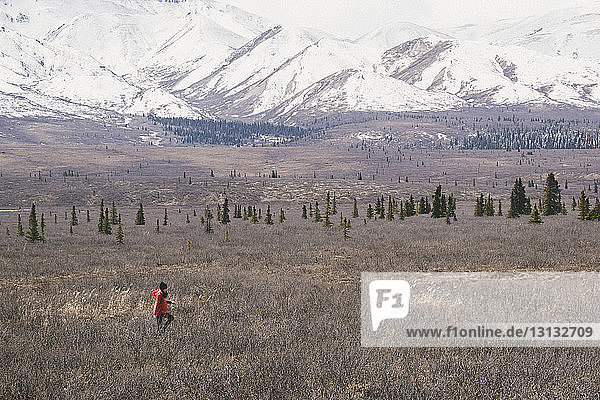 Hochwinkelaufnahme einer Frau  die auf dem Feld gegen schneebedeckte Berge im Denali-Nationalpark läuft