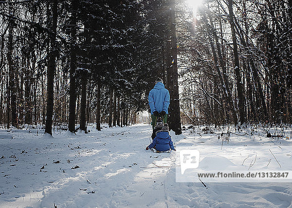 Rückansicht eines Vaters  der Kinder zieht  die im Winter im Wald auf einem Schlitten sitzen
