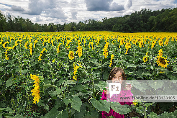 Porträt eines süßen  glücklichen Mädchens  das auf einer Sonnenblumenfarm vor bewölktem Himmel steht