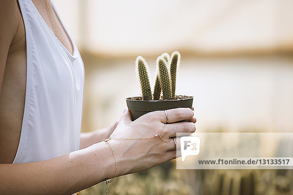 Beschnittenes Bild einer Frau  die eine Kaktuspflanze im Topf hält
