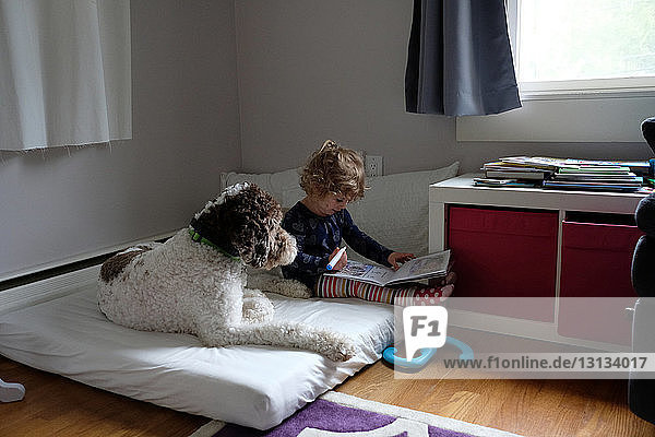 Girl studying while sitting by dog on mattress at home