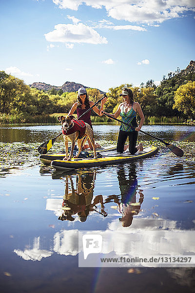 Happy friends with dog paddleboarding in lake against sky