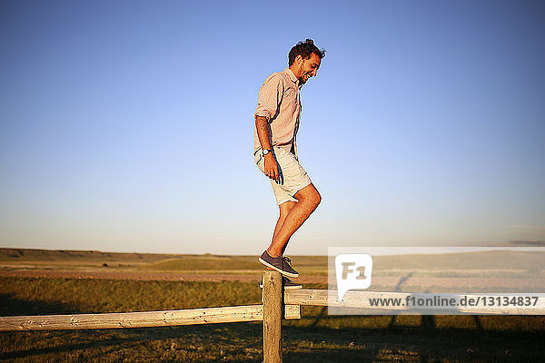 Glücklicher Mann in voller Länge balanciert bei Sonnenuntergang auf einem Holzzaun vor strahlend blauem Himmel