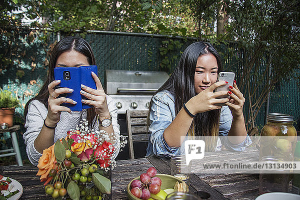 Freundinnen  die ein Smartphone benutzen  während sie am Tisch sitzen