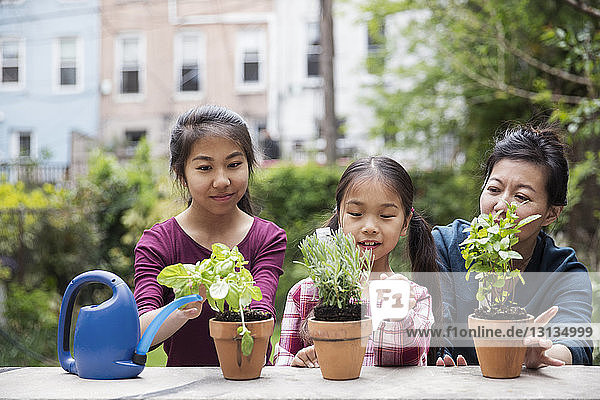 Mother and daughters with potted plants in yard