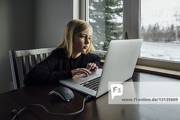 Girl using laptop computer while sitting by window at home