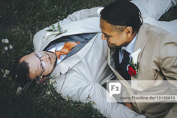 Glückliches homosexuelles Paar entspannt sich auf Grasfeld