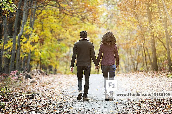 Rückansicht eines Paares  das auf einem Waldweg geht