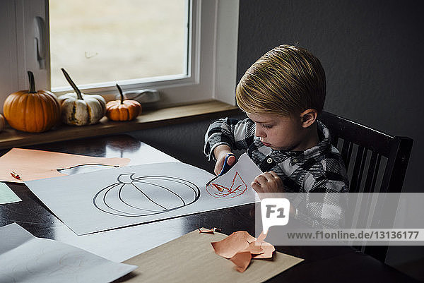 Schrägansicht eines Jungen  der an Halloween zu Hause Papier mit einer Kürbiszeichnung darauf schneidet