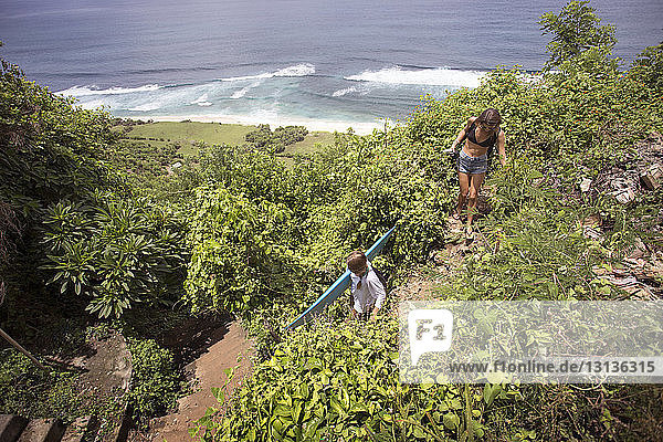 High angle view of female surfers on mountain by beach
