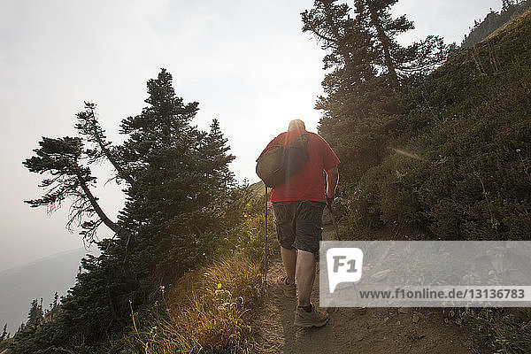 Rückansicht eines Wanderers mit Wanderstöcken beim Bergwandern