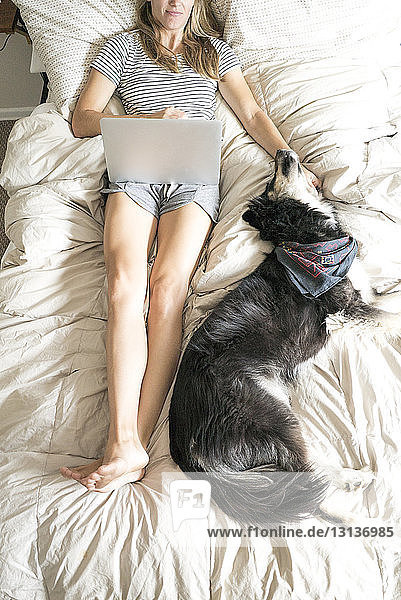 Hochwinkelansicht einer Frau mit Hund mit Laptop-Computer im Liegen auf dem Bett